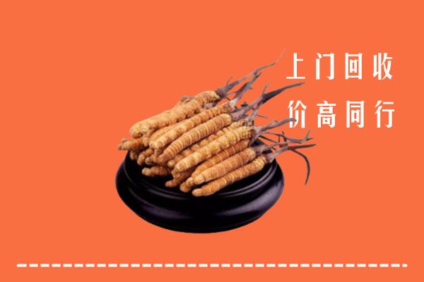 高价求购：长兴县回收散虫草