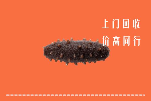 高价求购：长兴县回收海参
